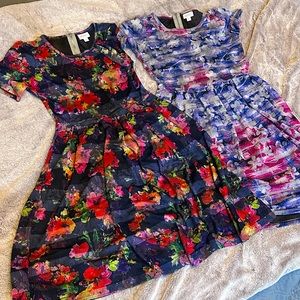 Bundle of 2 LulaRoe Amelia dresses!
